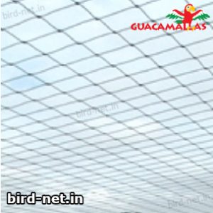 guacamallas installed for protection against the birds